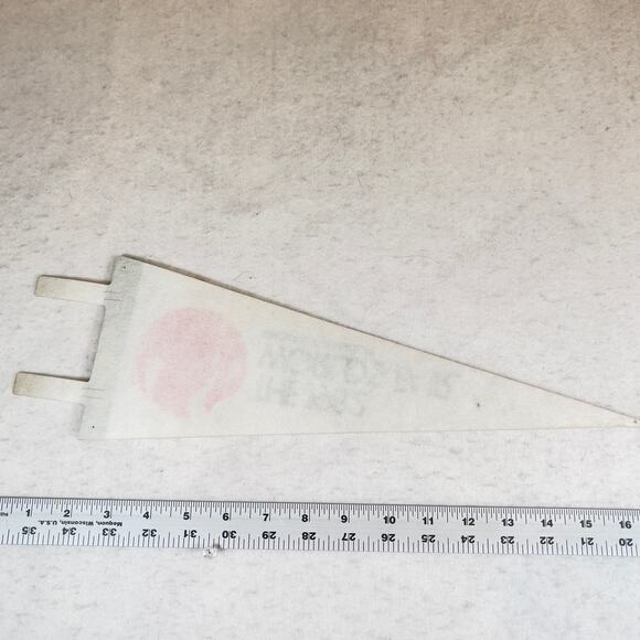 1982 World's Fair Knoxville Tennessee VINTAGE Felt Pennant Exposition - Picture 4 of 5